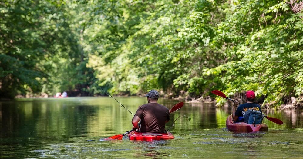 Beginner Canoe Trip on Mad River with Birch Bark Canoe Livery