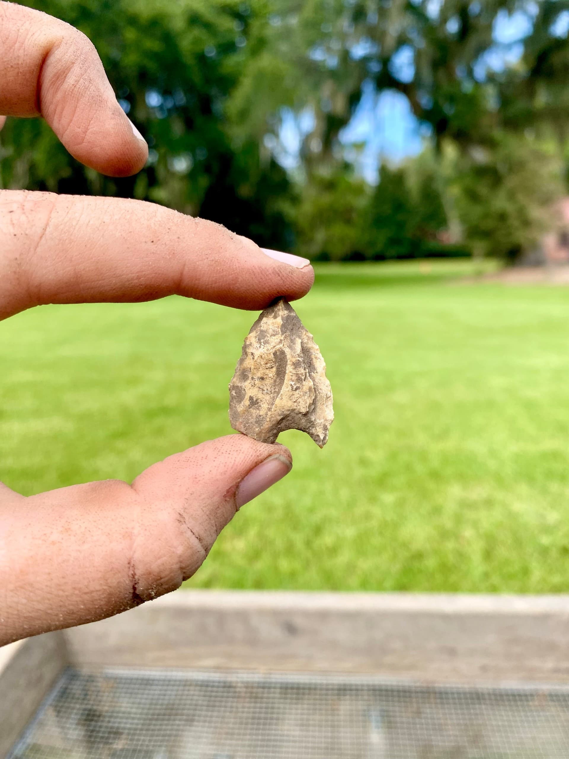 Hands-On Archaeology at Drayton Hall: Five-Day Archaeological Institute in Charleston photo 2