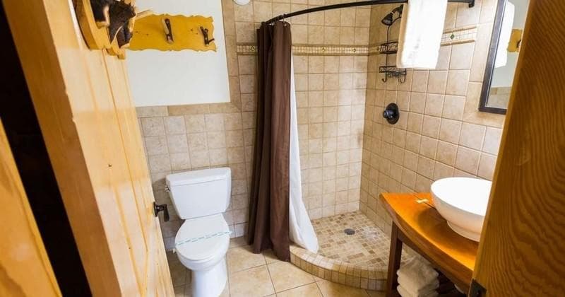 Experience Northern Lights and Alaskan Comfort in Room 1 at Black Rapids Lodge photo 1