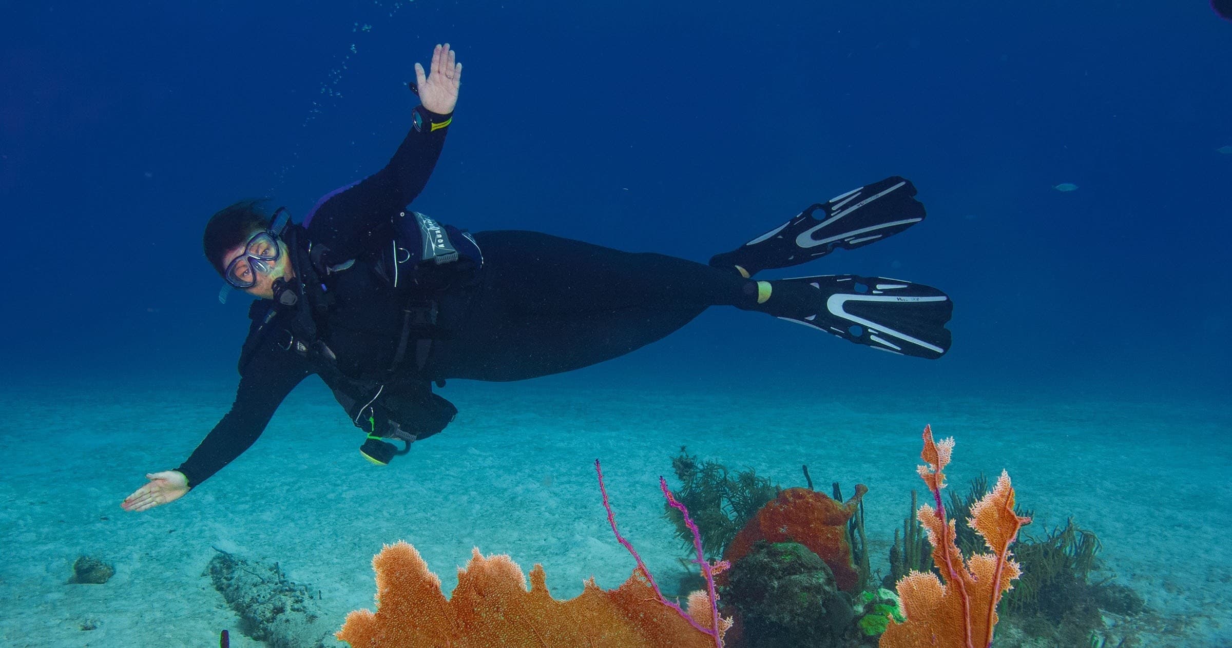 Scuba Diving in Punta Cana: Open Water Course with Punta Cana Scuba Diving