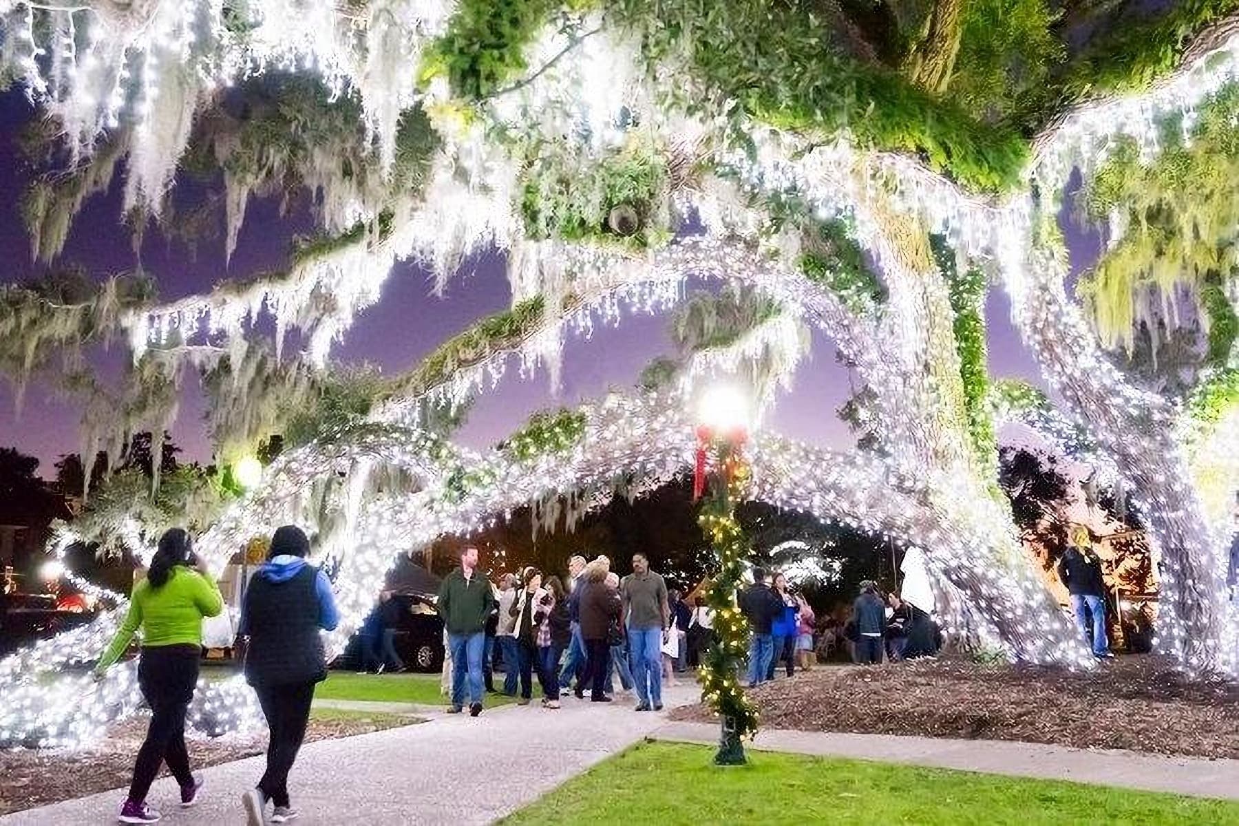 Magical Sunset Ferry to Jekyll Island’s Holly Jolly Lights Experience