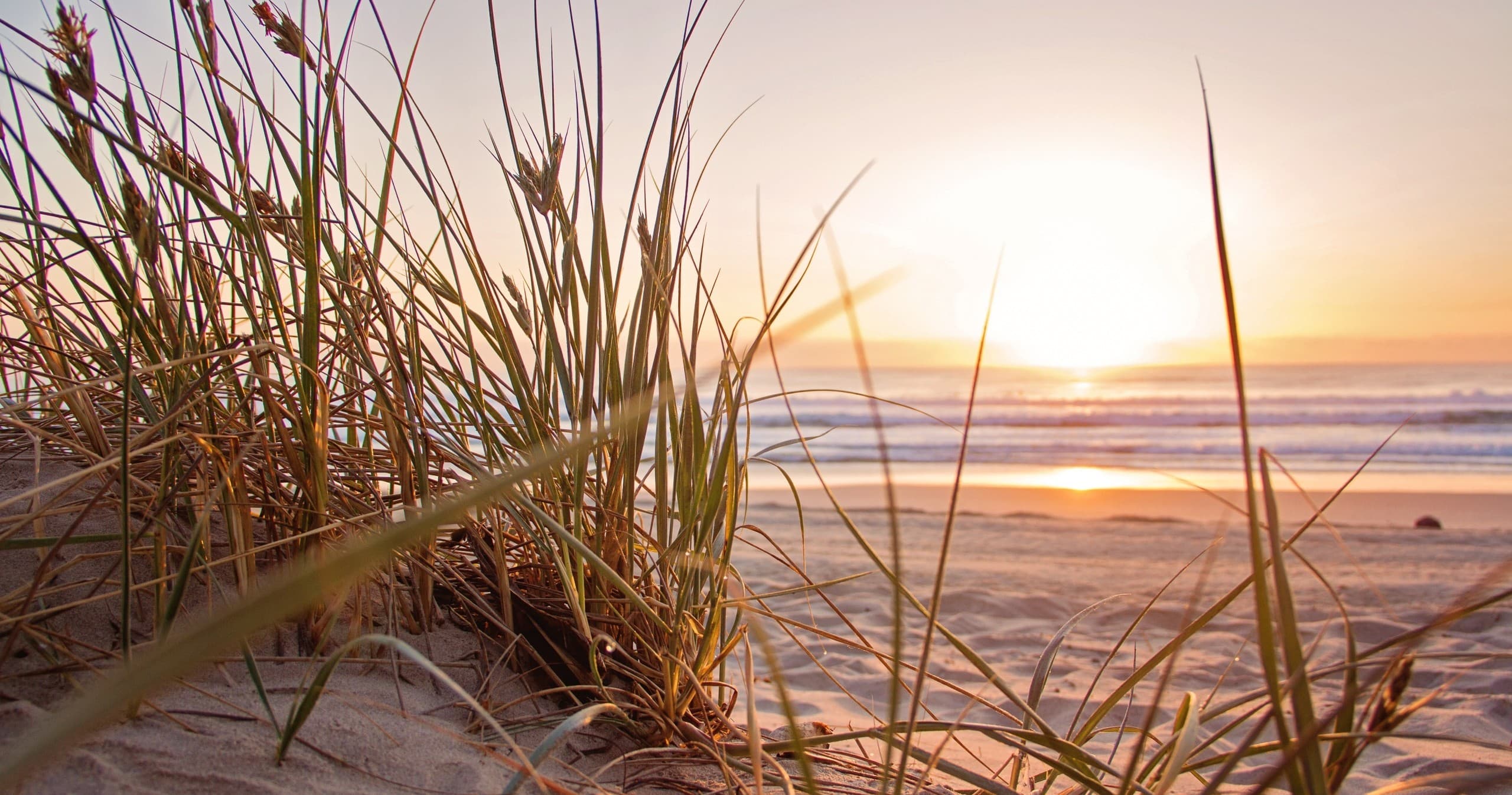 Beach Gear & Bikes: South Beach Bike Rentals on Hilton Head