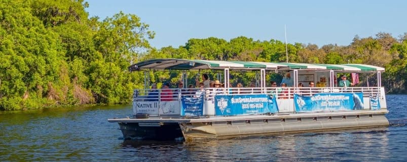 St. Johns River Nature Cruise with Blue Spring Adventures