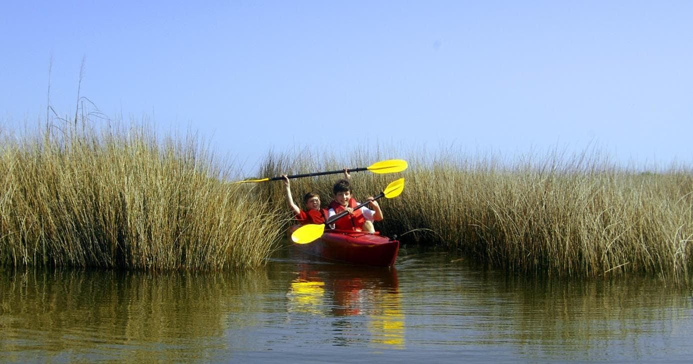 Pine Island Kayak Tours by Coastal Kayak Touring Company