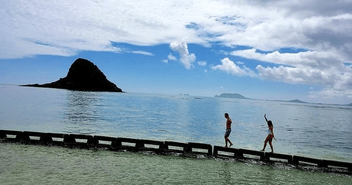 Explore Oahu Circle Island Tour - Half Day Adventure