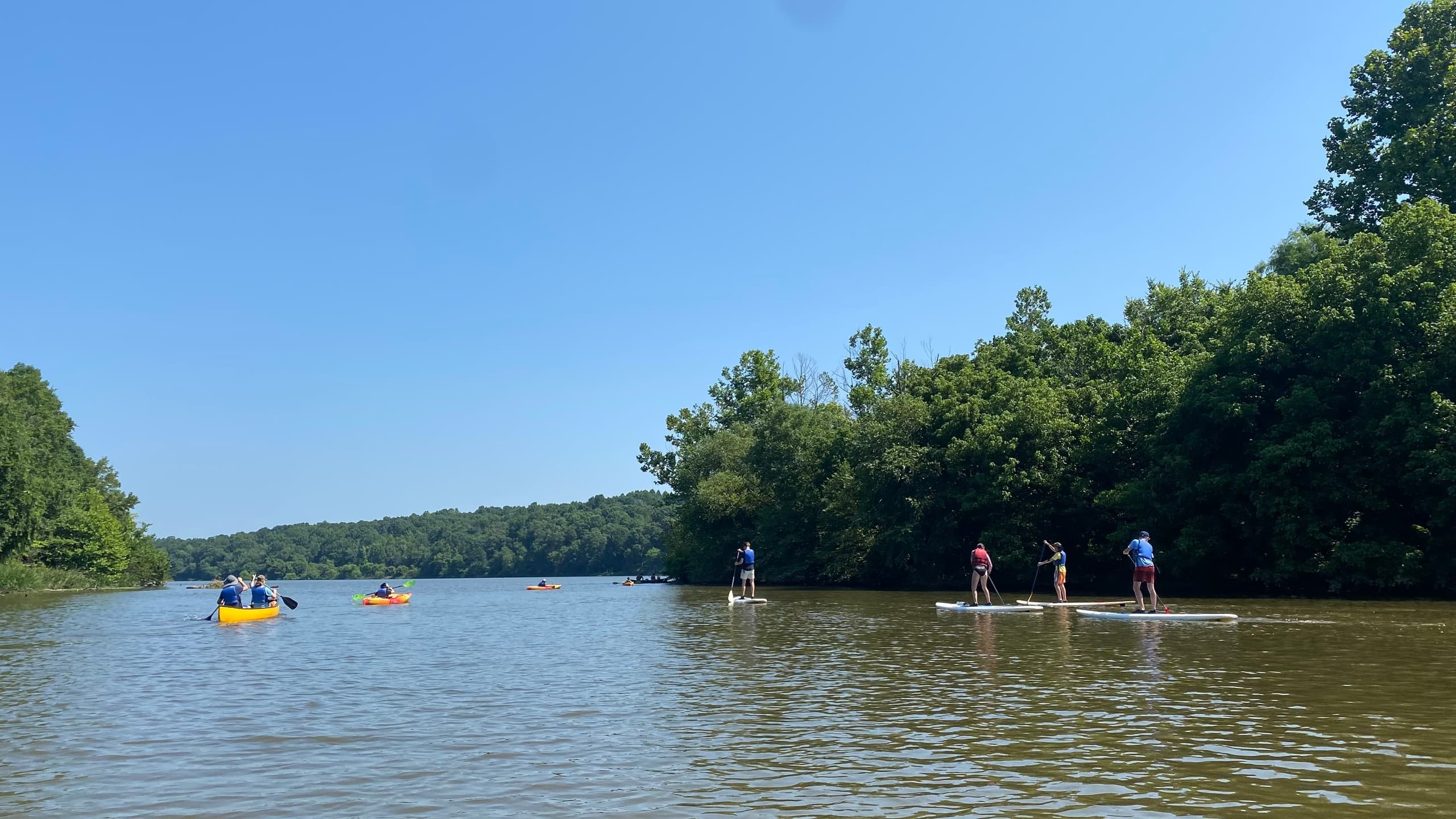 Goose Island Loop: Family-Friendly Flatwater Paddle on Saxapahaw Lake photo 3