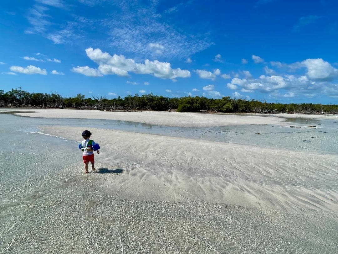 Three-Hour Sandbar Escape in Key West: Snorkel, Paddleboard & Family Fun photo 4