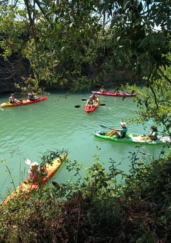 Paddle the Acheron: 3-Hour Kayak Through Epirus Canyons