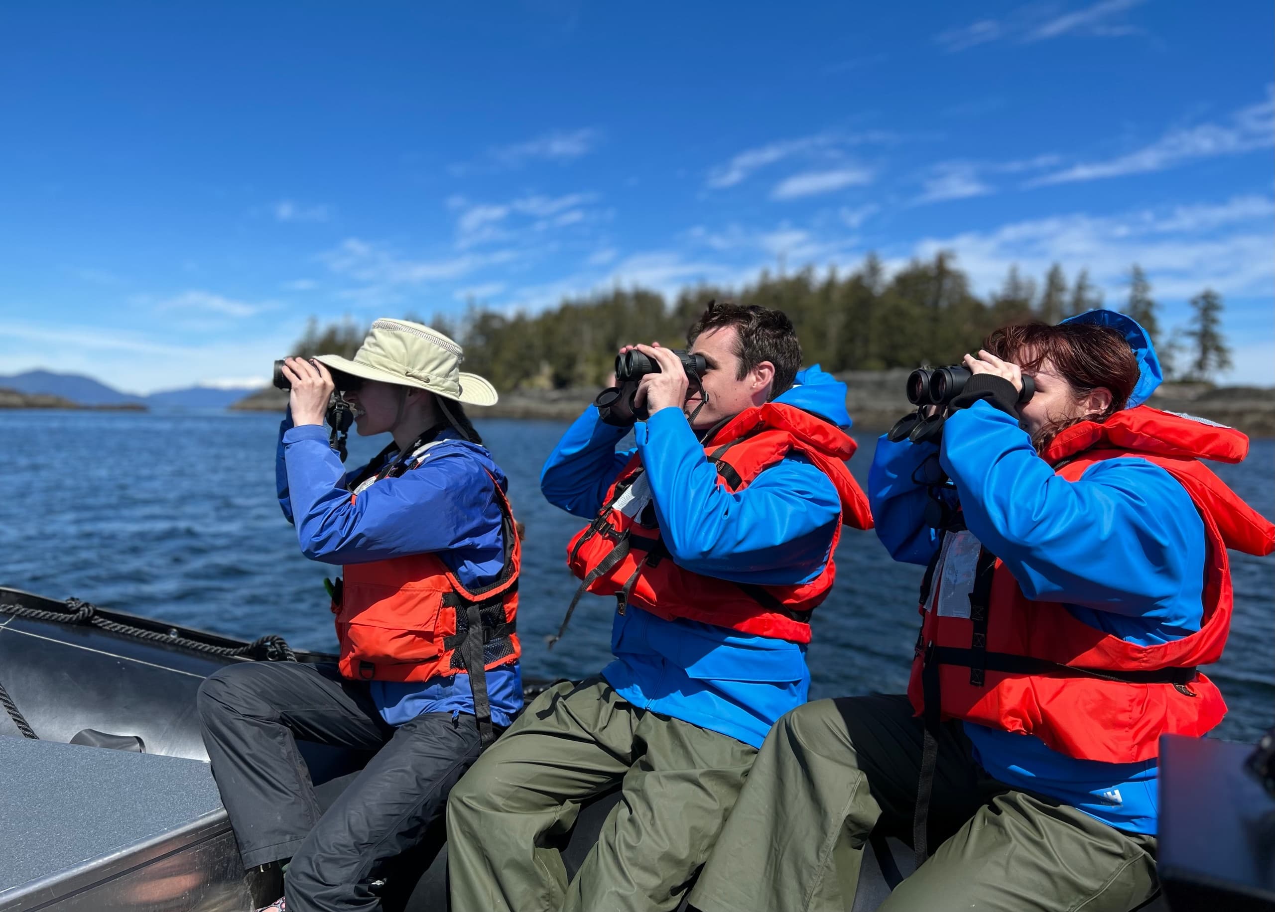 Guided wildlife boat tour with passengers scanning sea for whales