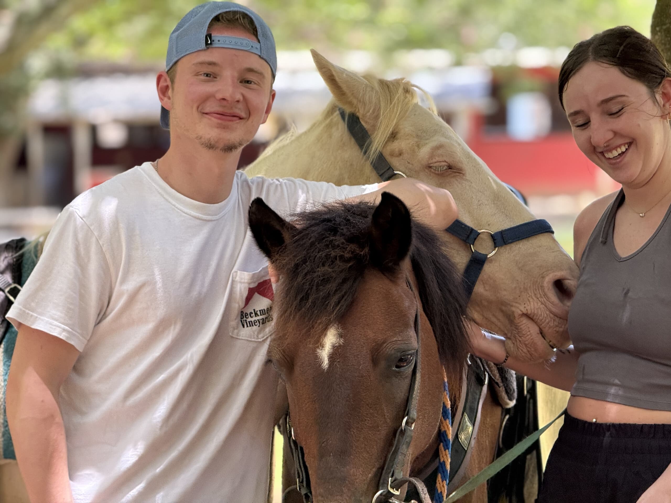 Hacienda Carey Kid's Cowboys Adventure: Hands-On Farm Program for Kids in Aguadilla photo 2