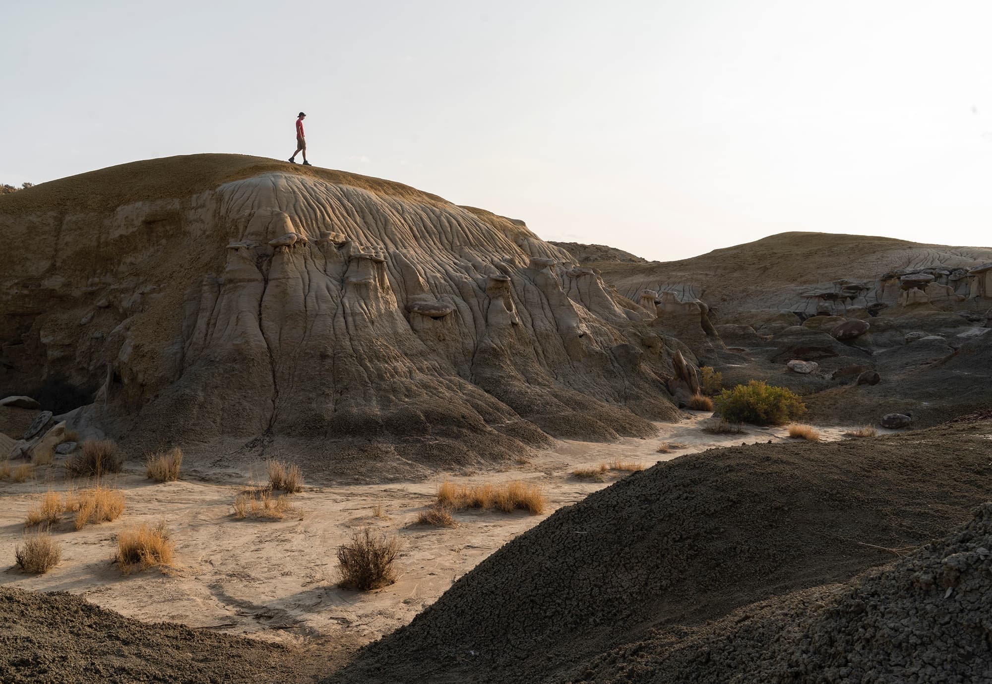 Outdoor Adventure with Good Trip Adventures: Joshua Tree Full Day Tour