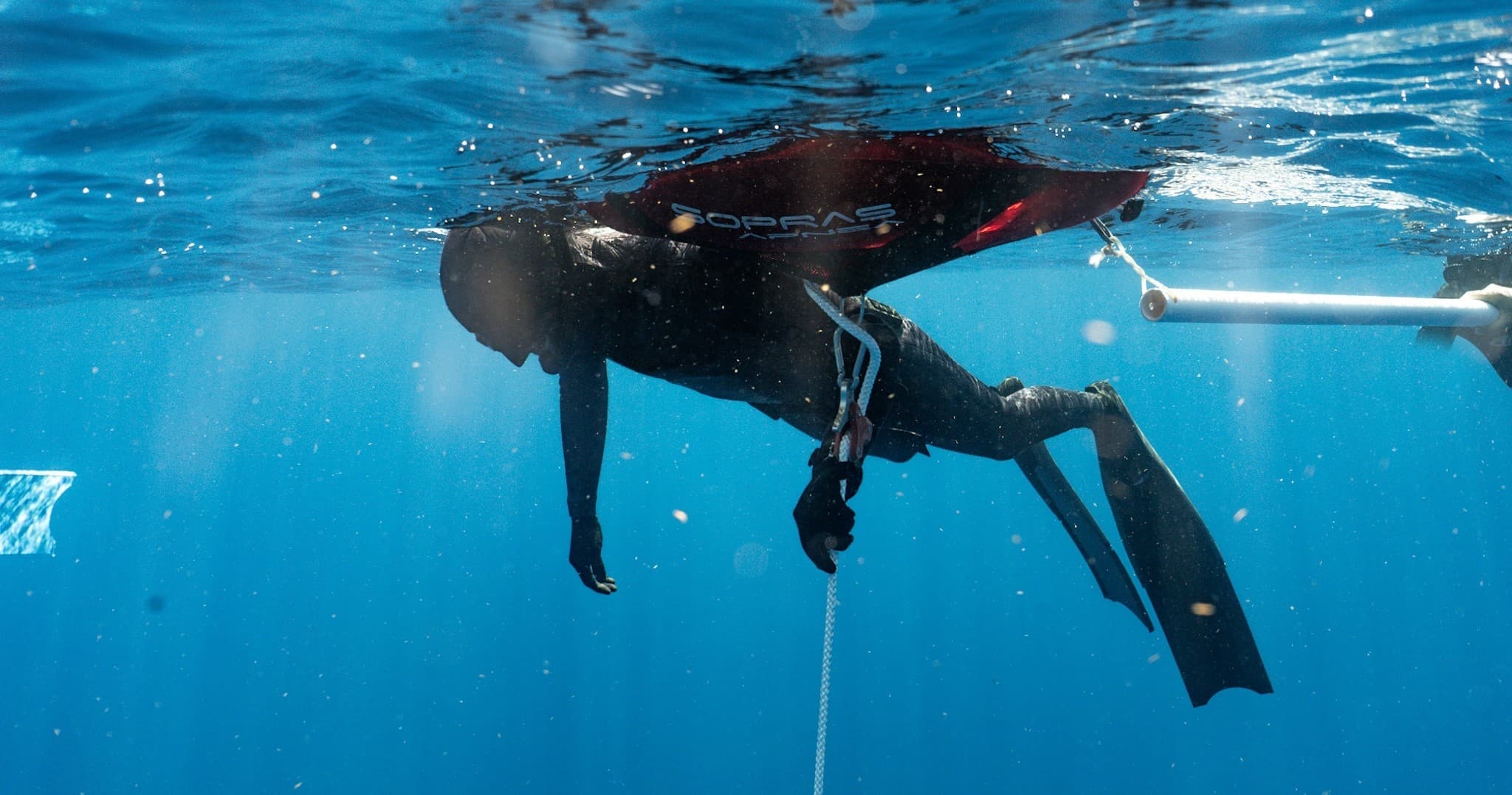 Water-Activities with Dixie Divers: Freediving Adventure