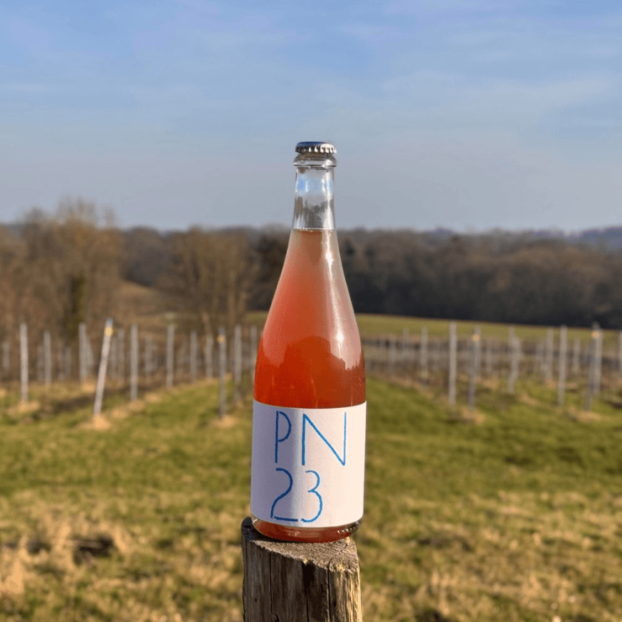 Land & Water Adventures with Offvine in Kent