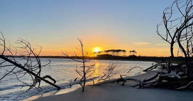 Waites Island Kayak Tour in North Myrtle Beach, SC