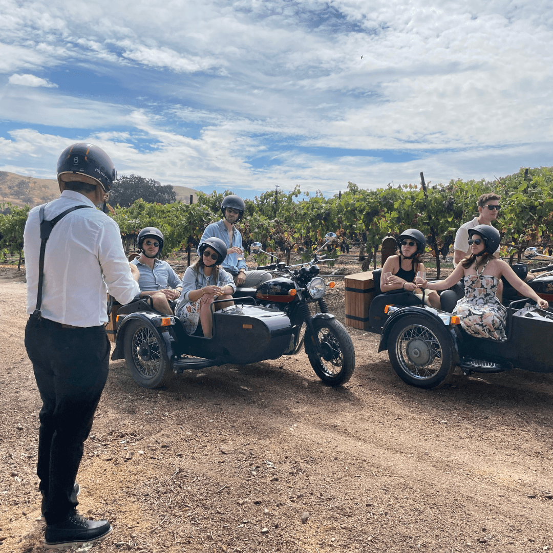 Grapevine Getaway: Exclusive Wine Tour in Paso Robles