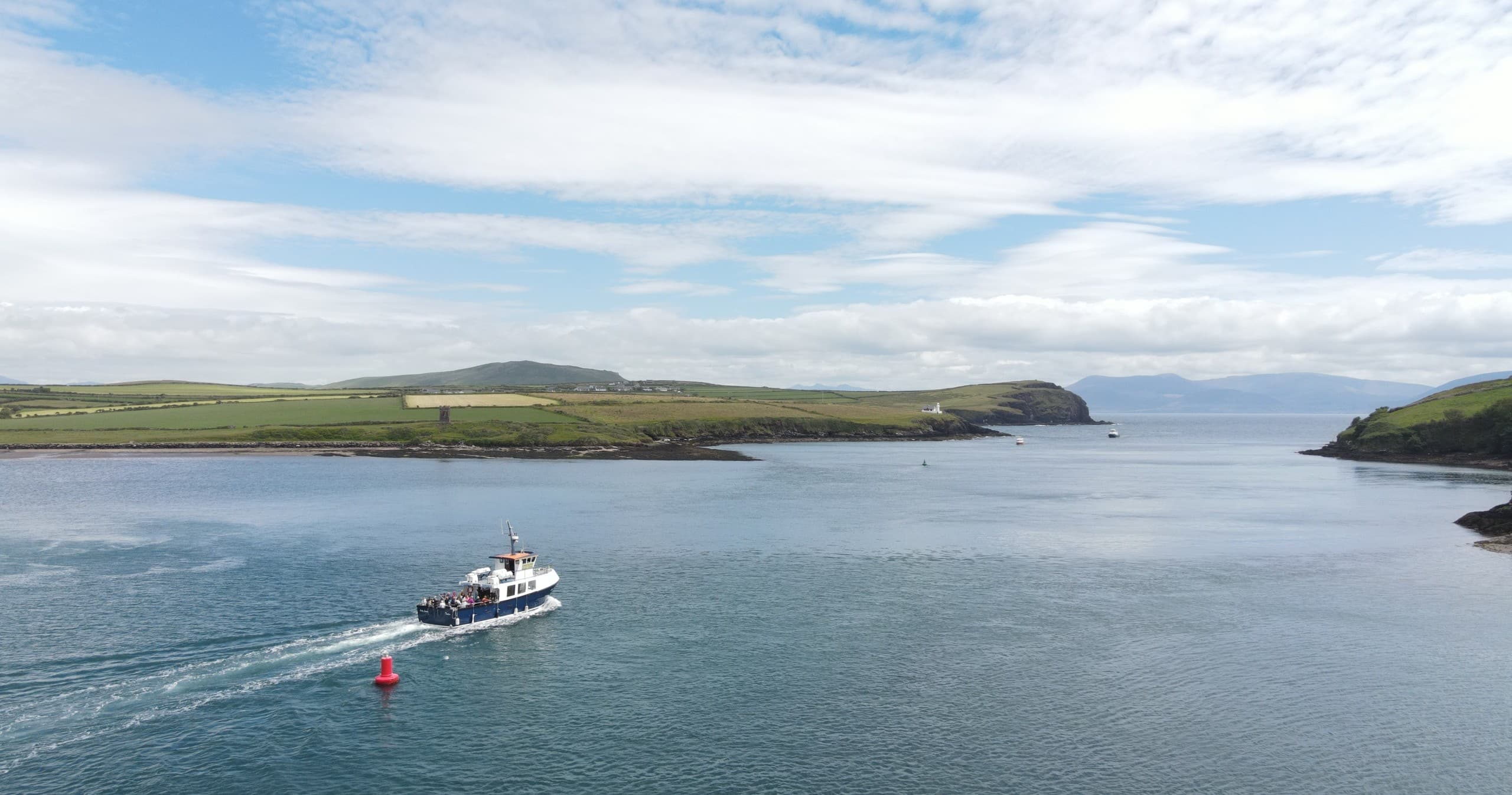 Harbour & Bay Cruise with Dingle Boat Tours in Kerry