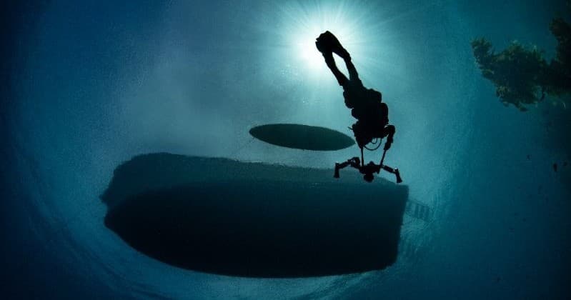 Master Boat Diving at Avalon: PADI Boat Diver Course on Catalina Island