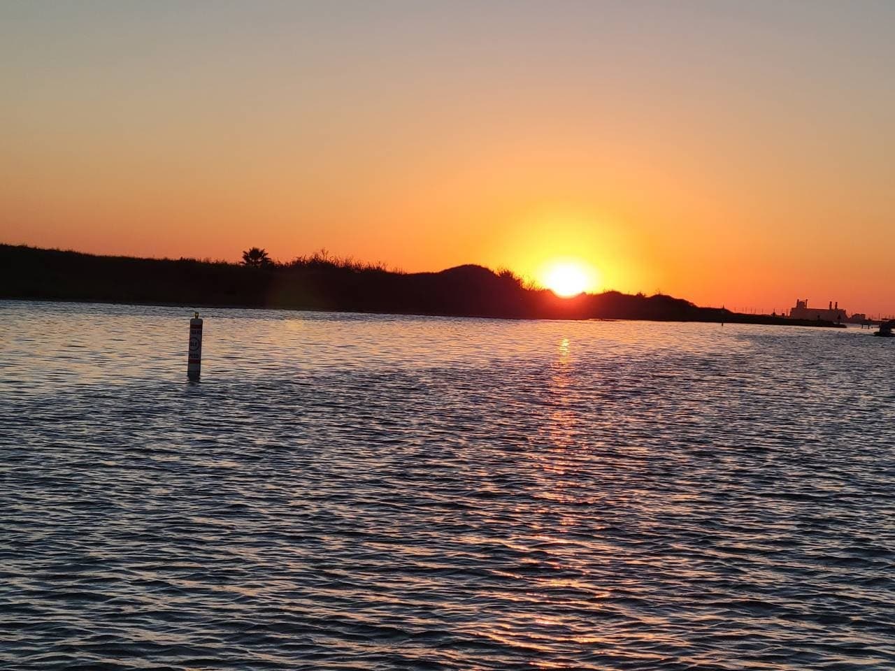 Sunset Birding Cruise from Snoopy's Pier: 1.5-Hour Corpus Christi Tour