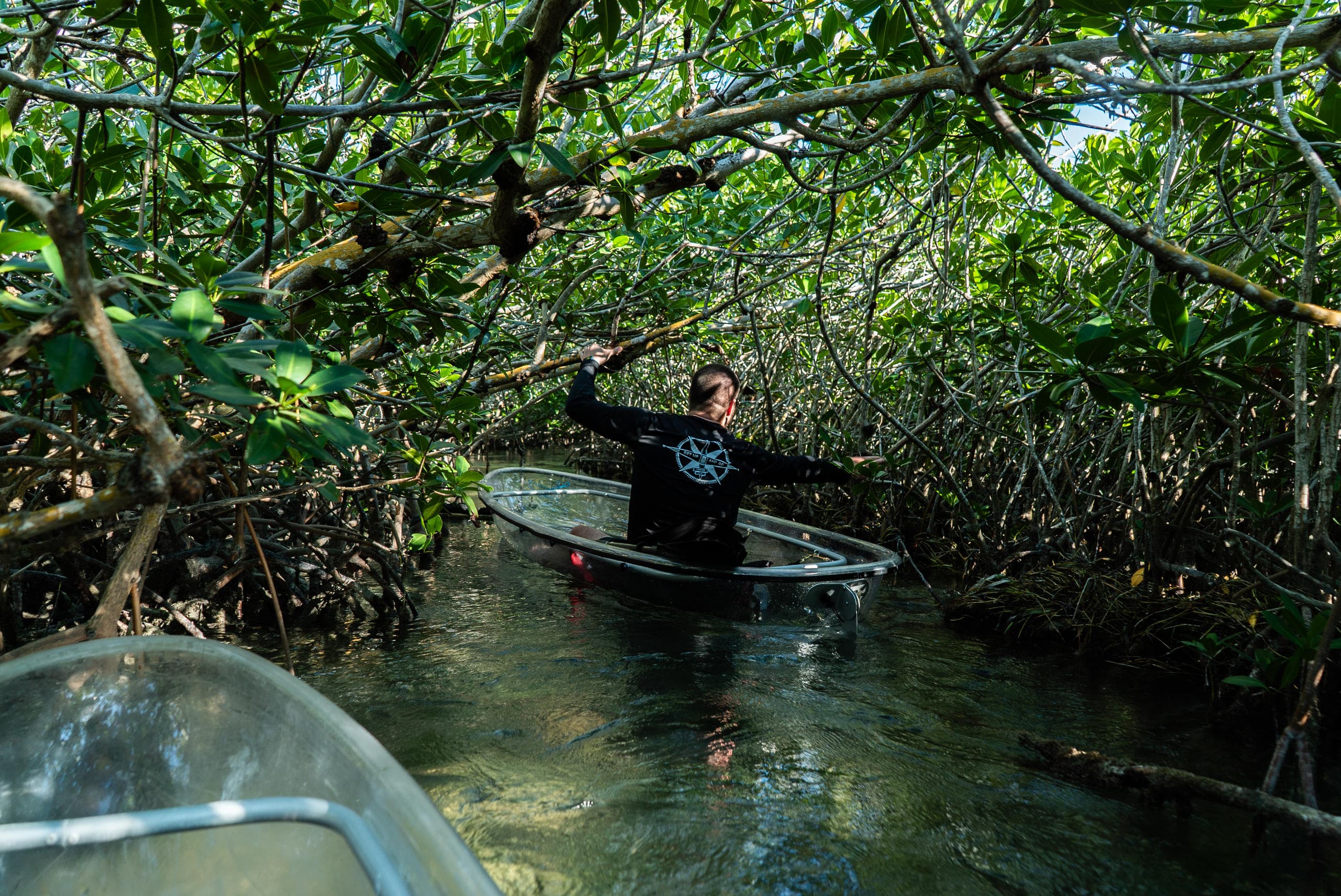Clear Kayak Tour of Sugarloaf Key in Florida Keys