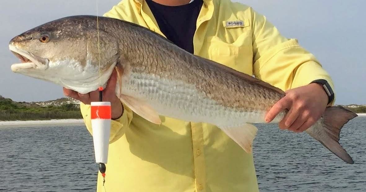 3 Hour Grass Flat & Dock Fishing | Fishing in Gulf Breeze, Florida