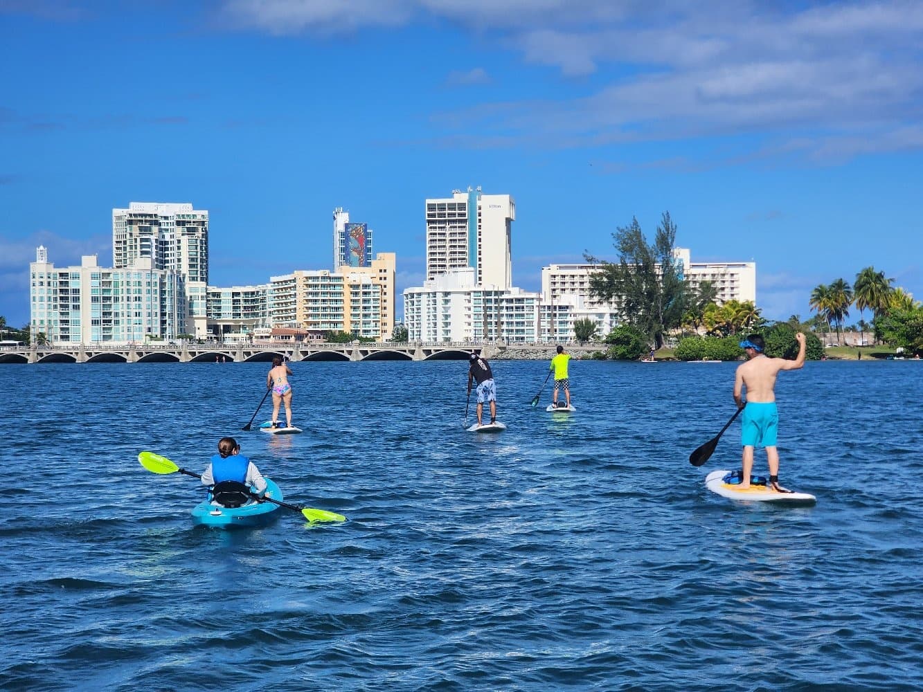 Stand-up paddleboarders touring urban bay with skyline views