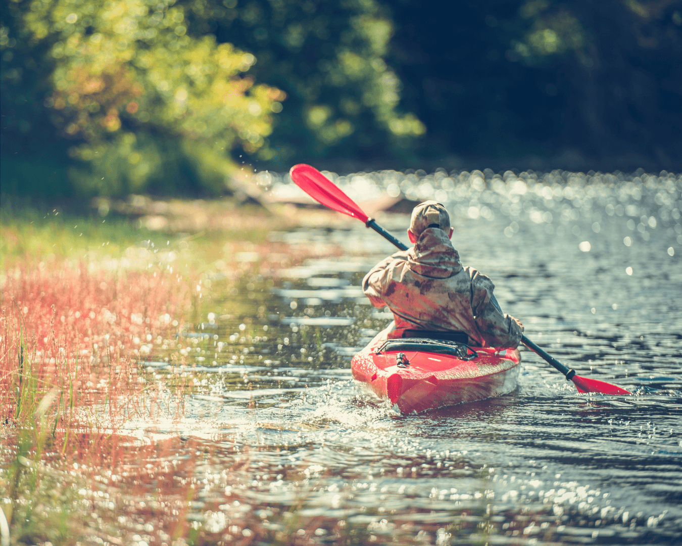 Weeklong Kayak & Paddleboard Adventure at Holly Bluff Marina