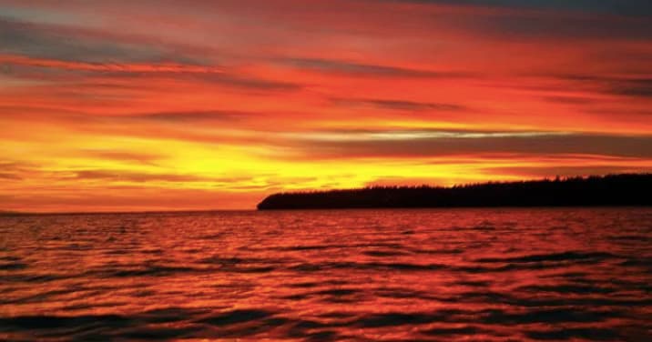 Sunset Cruise Adventure in Surrey, British Columbia