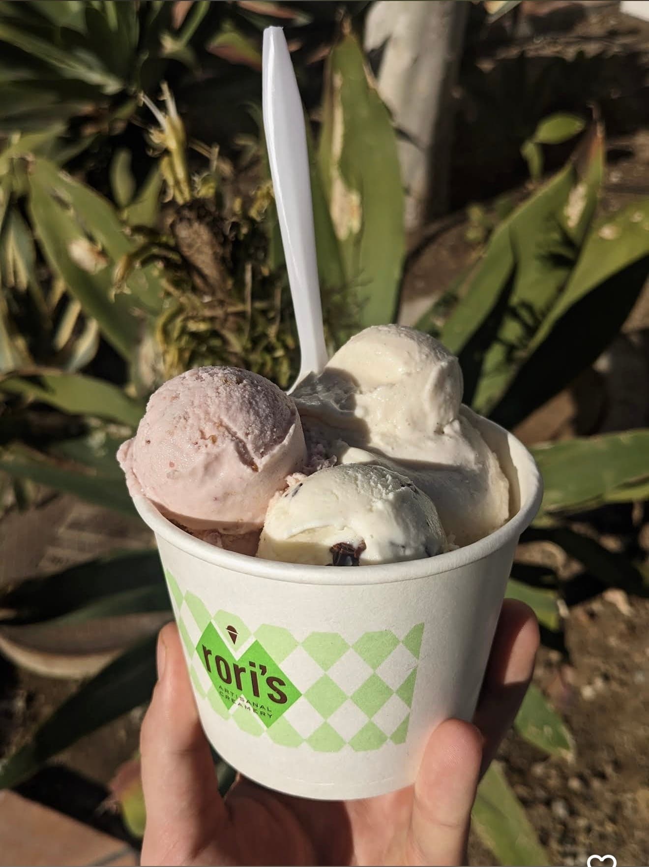 Downtown Scoops: Santa Barbara Ice Cream Tour with Local Artisan Tastings photo 1