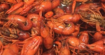 Savor the Flavors and Stories on the Original New Orleans Seafood and History Food Tour