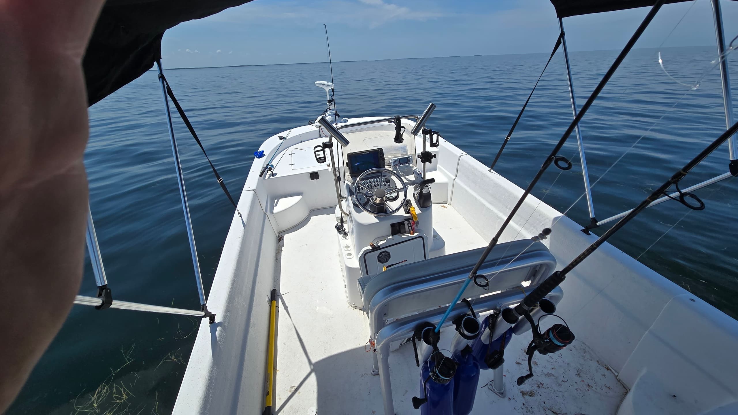 Water Activities & Boat Charters at Florida's Nature Coast with Sweet N' Salty