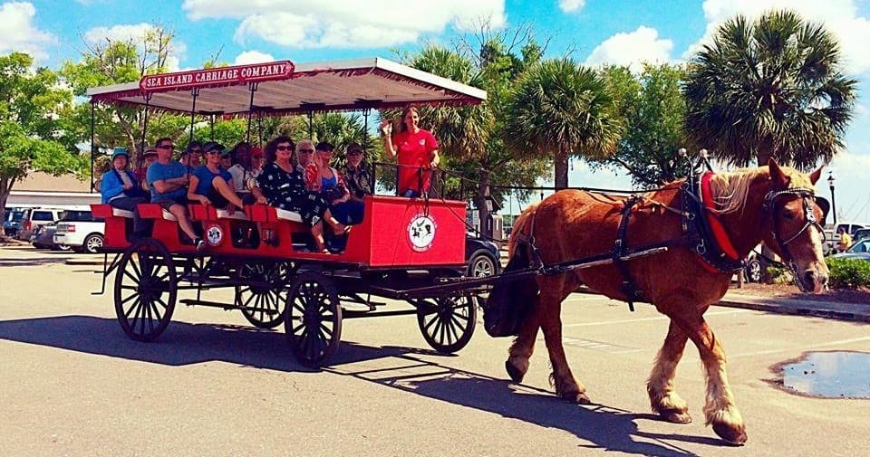 Scenic horse-drawn carriage ride past palm trees on sunny street