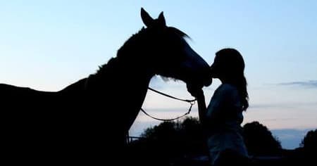 Horse and rider silhouette at sunset in rural paddock