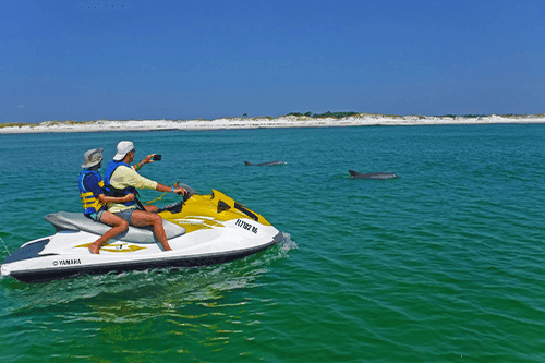 Jet ski riders spotting dolphins on emerald Gulf waters near shore