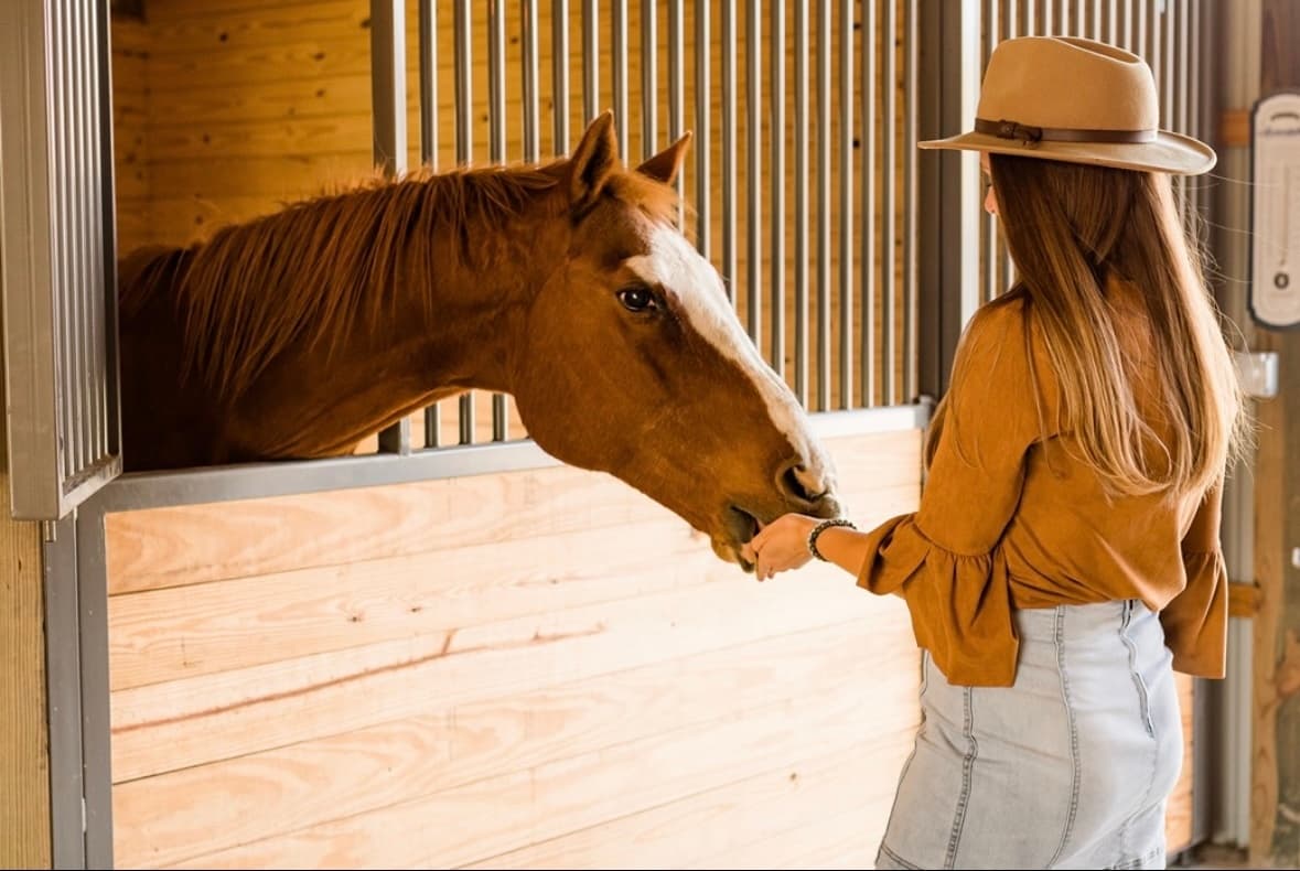 Wine Tasting & Horses at Eqwine Social Experience