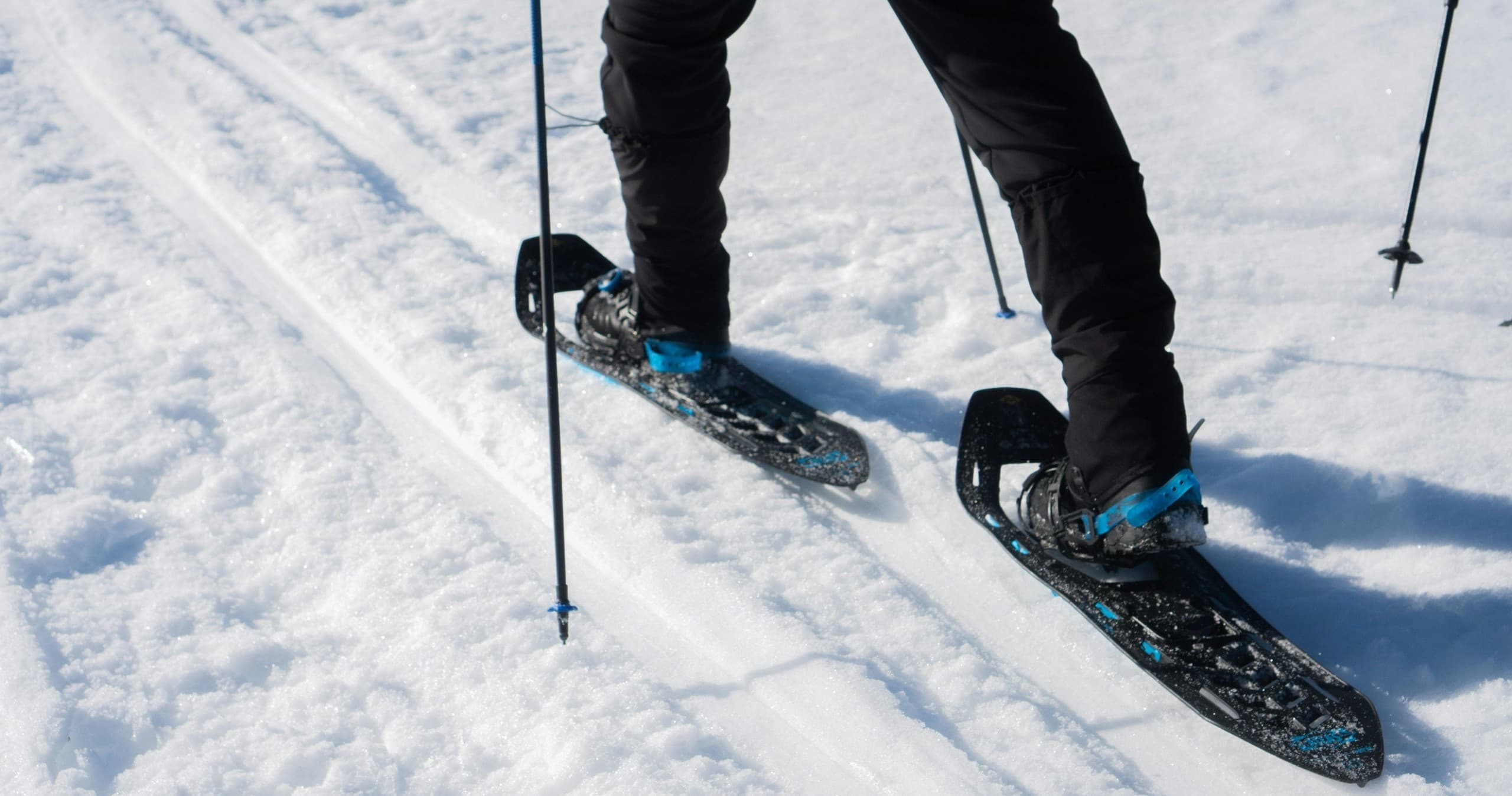 Half Day Snowshoe Rentals at Badger Pass — Yosemite High-Country Winter Access
