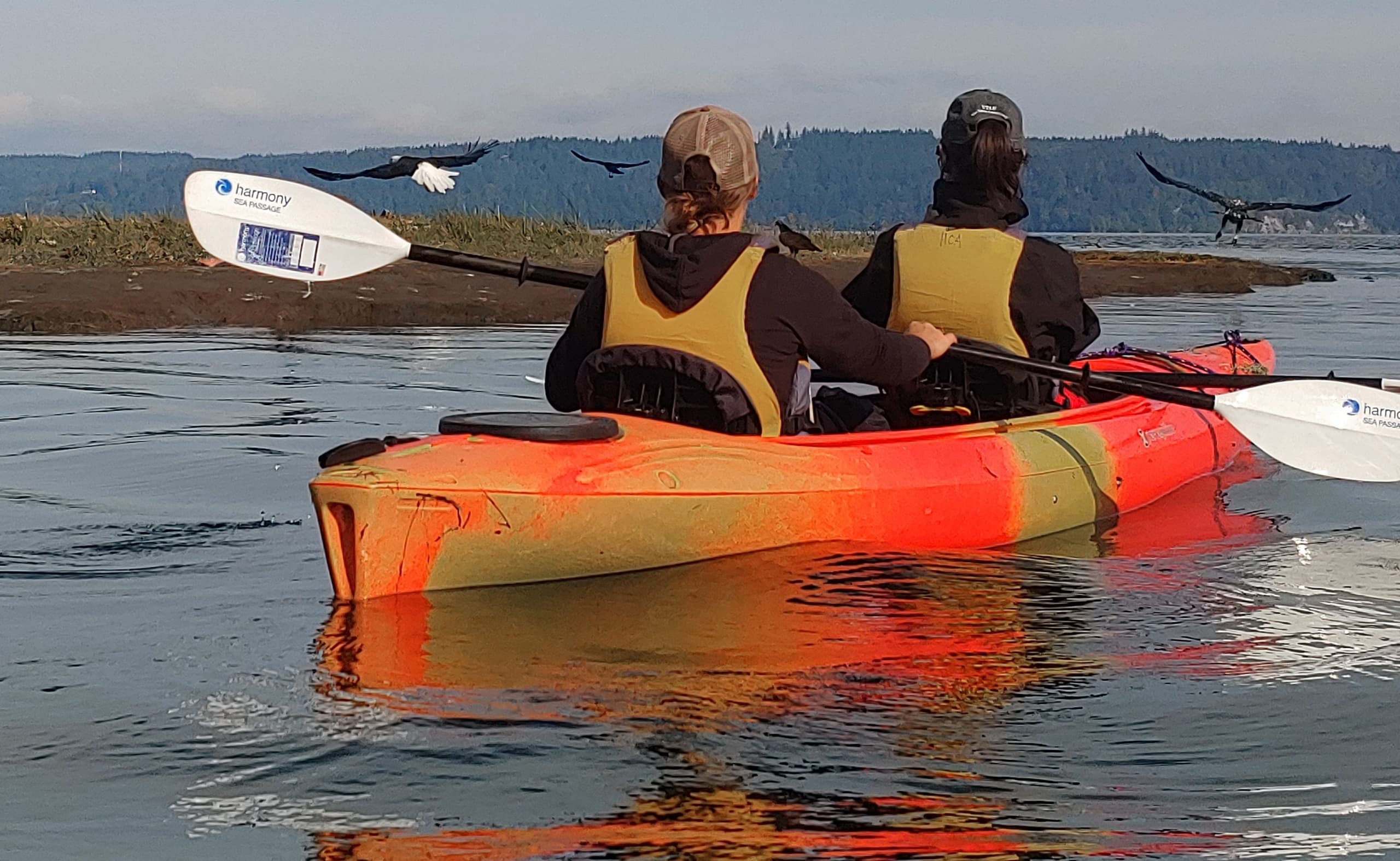 Dosewallips Estuary Kayak Tour