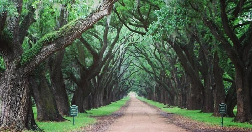 Whitney Plantation Audio Tour by Legendary Tours New Orleans