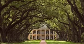 Educational & Historical Tours at Oak Alley Plantation