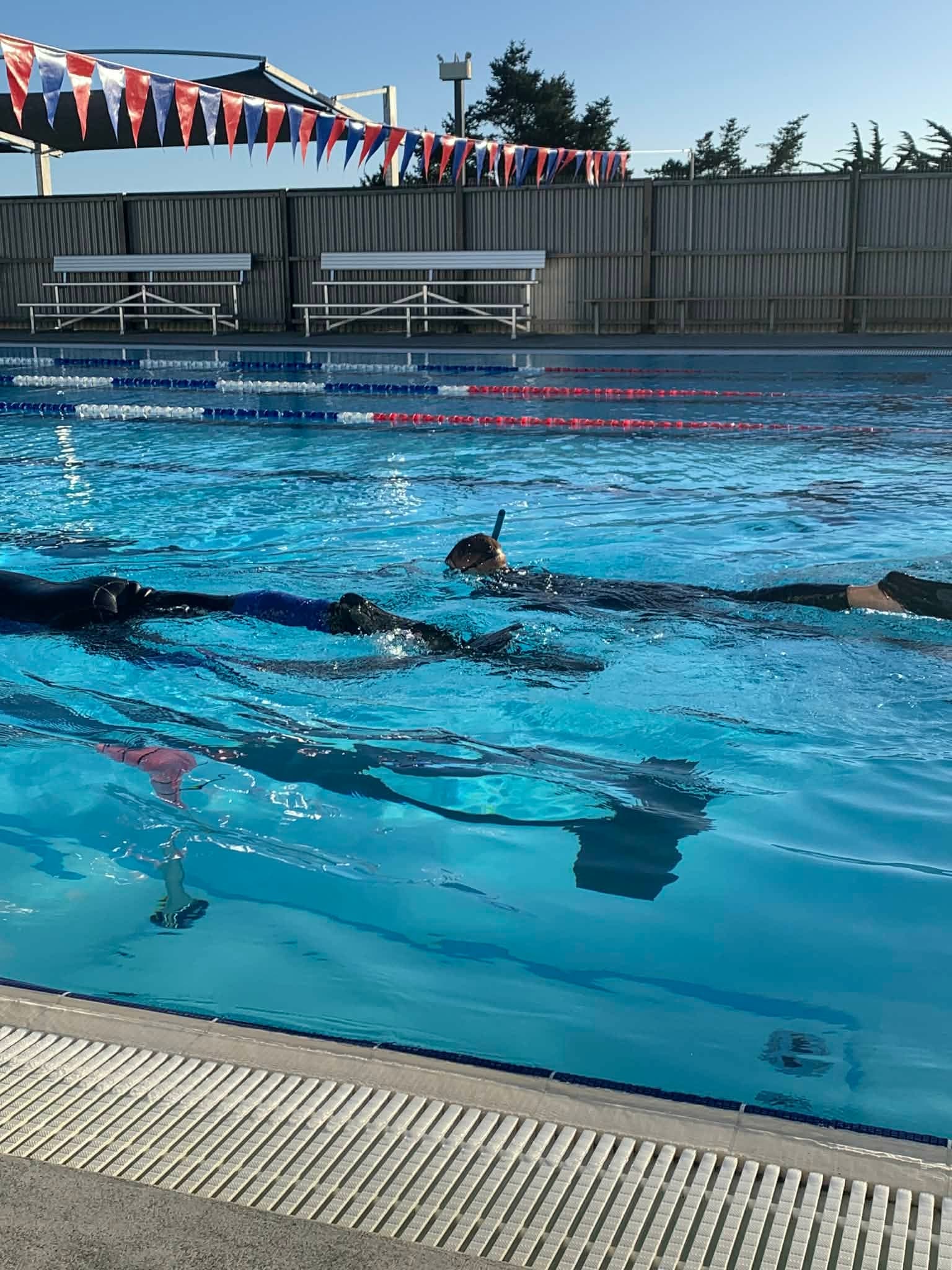 SSI Freediver Level One: Master Breath-Hold Diving Off Kaikōura photo 2