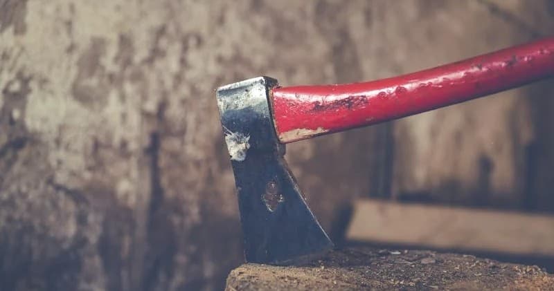 Master Axe Throwing with Seven Axes in Florida