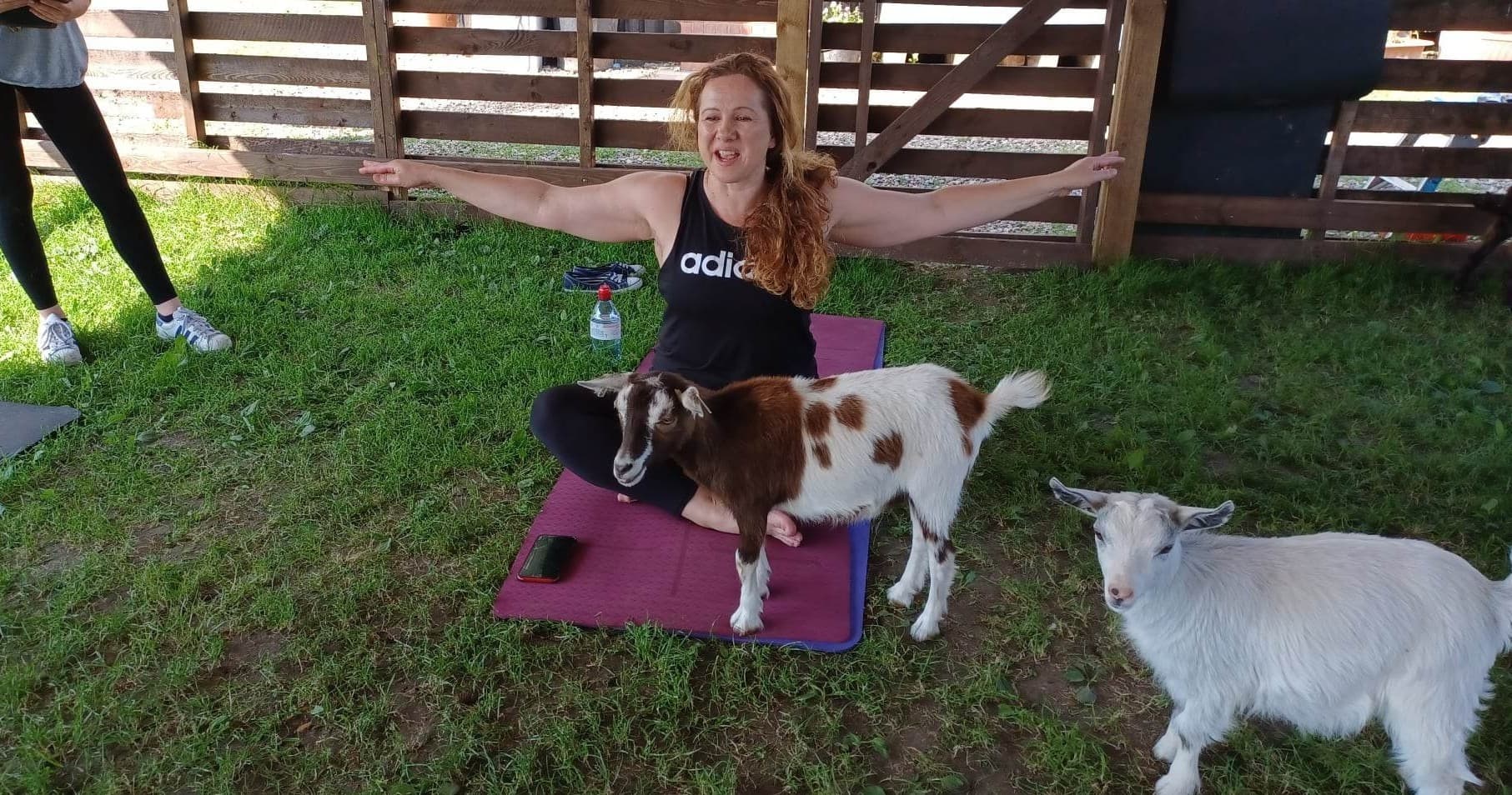 Outdoor goat yoga session on grassy farm under shelter