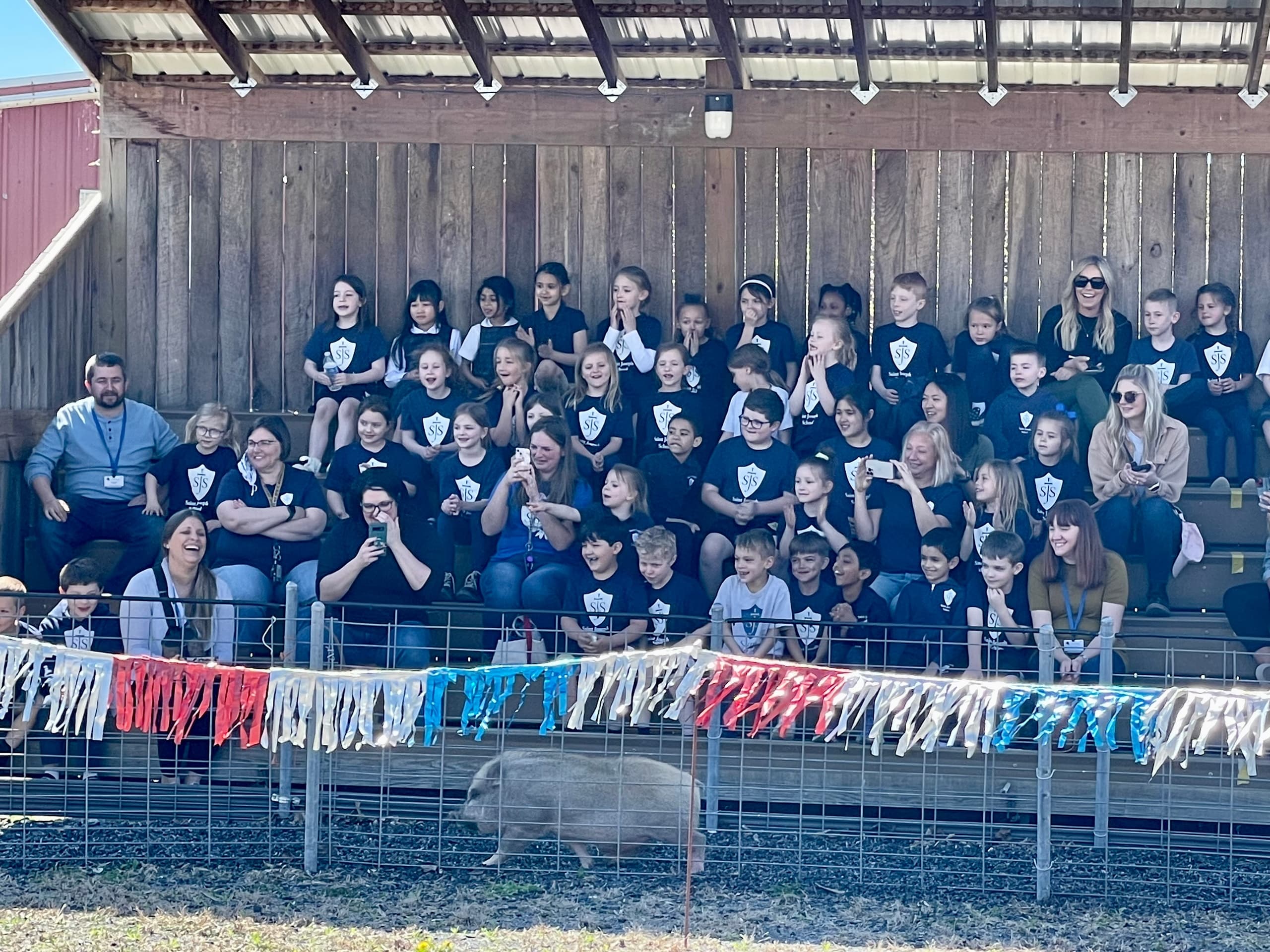 Group Adventures at Land of Little Horses, Gettysburg