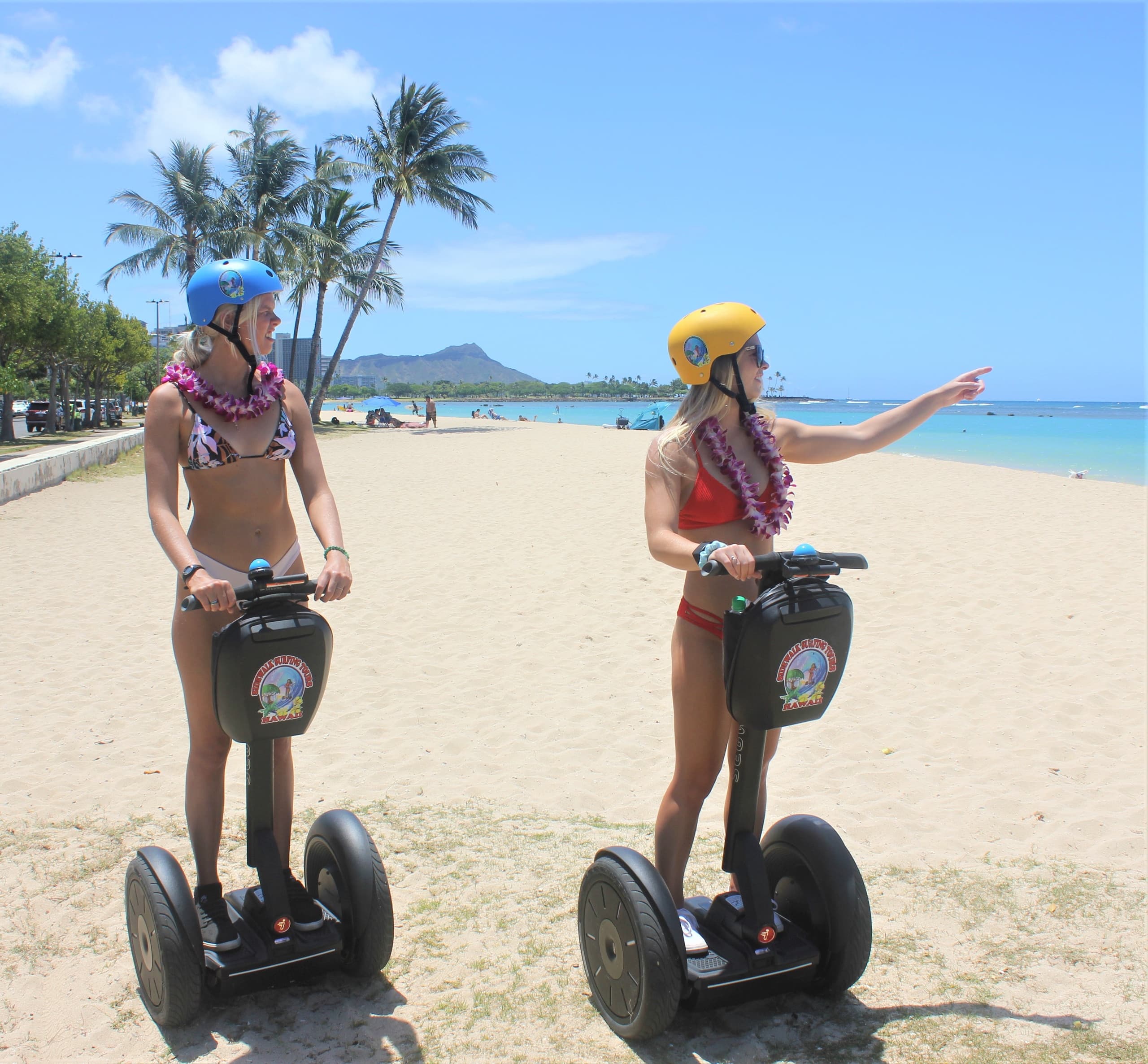 Two riders on Segways pointing along palm-lined sandy beach