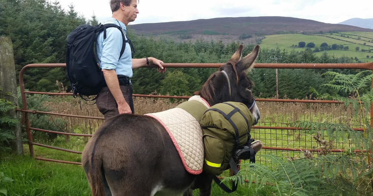 Land Adventures with Clissmann Horse Caravans in Wicklow