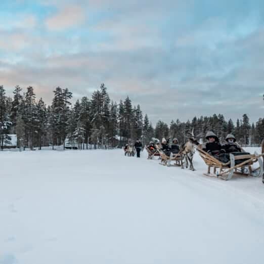 Lapland Reindeer Ride at Iso-Syöte: Authentic Sámi Sleigh Experience