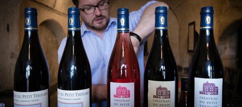 Château du Petit Thouars: Loire Wine Walk & Cellar Tasting