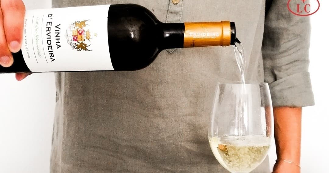 Wine Tasting & Vineyard Tour at Reguengos