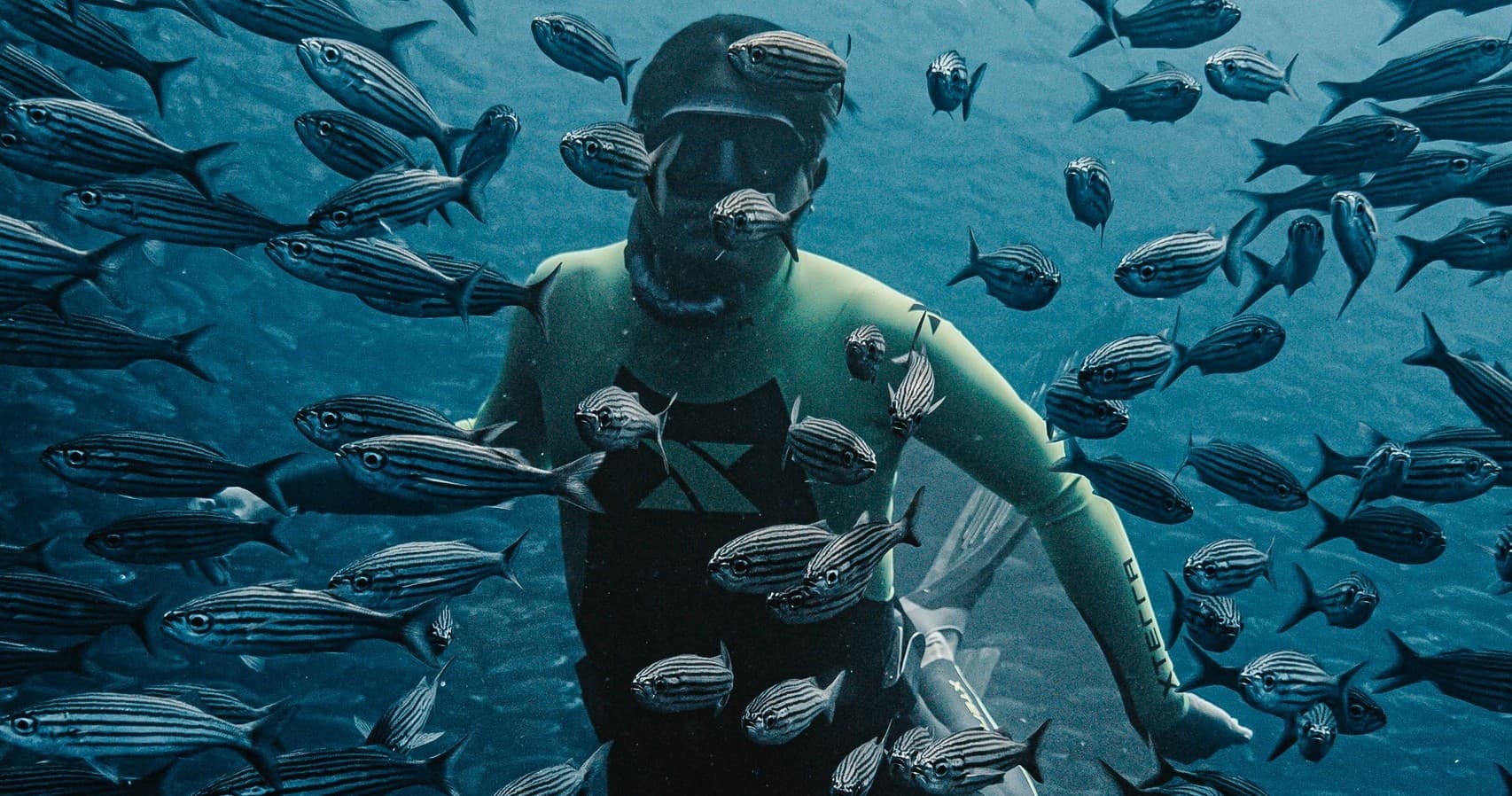 Curso Instructor FGC Internacional — Freediving Instructor Course in Key Biscayne