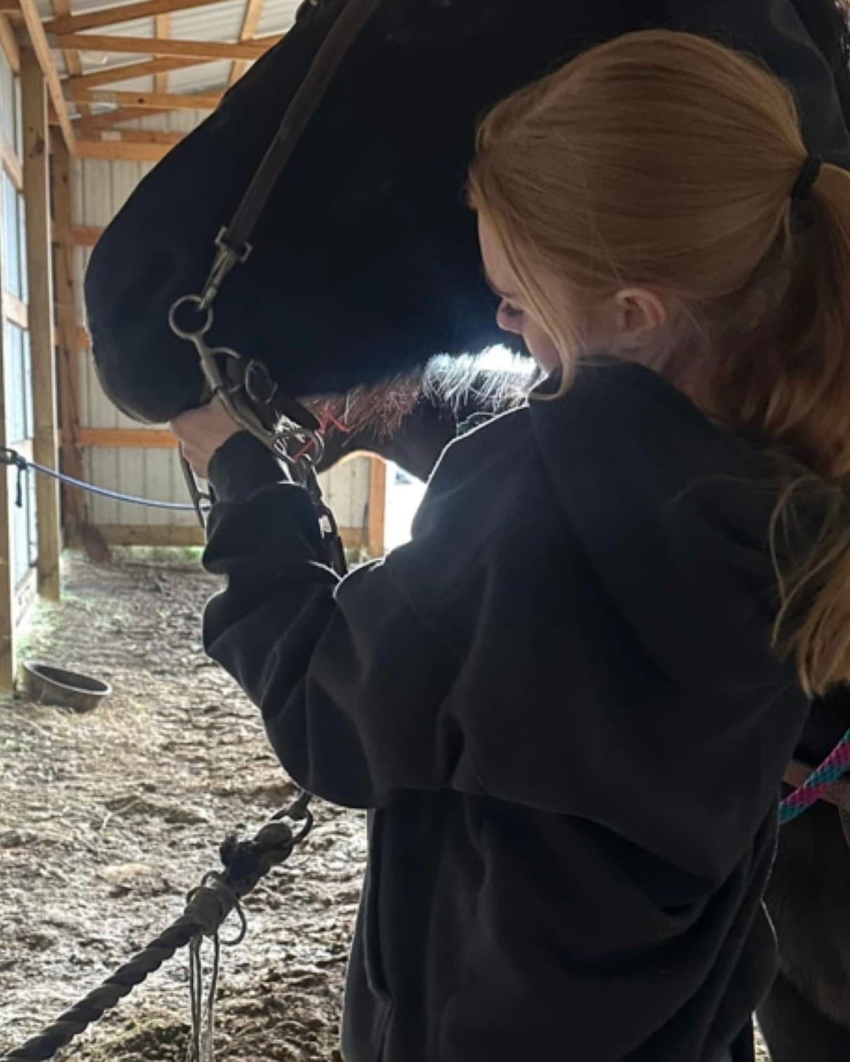 Hands-On Horsemanship: One Hour Private Lessons in Park City, Kentucky photo 1