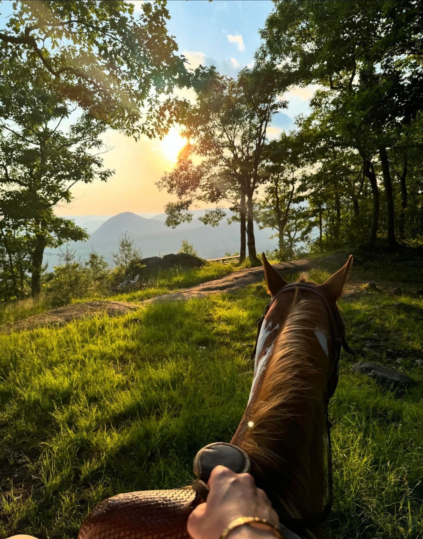 Land Adventures with Mountain View Rocking B Ranch